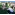 image_1