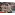 image_1